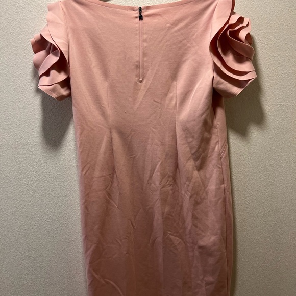 A Pea in the Pod X Pietro Brunelli maternity dress - Picture 5 of 8